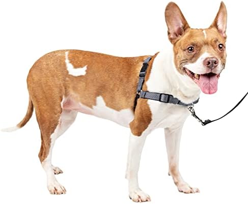 PetSafe Deluxe Easy Walk Dog Harness - Martingale Loop with D-ring Stops Pulling - Training & Behavior Aid - Reflectivity Enhances Visibility in Low Light - Comfortable Padding - Steel/Black - M