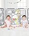 Skip Hop Expandable Baby Gate, Playview Enclosure, Silver Lining Cloud