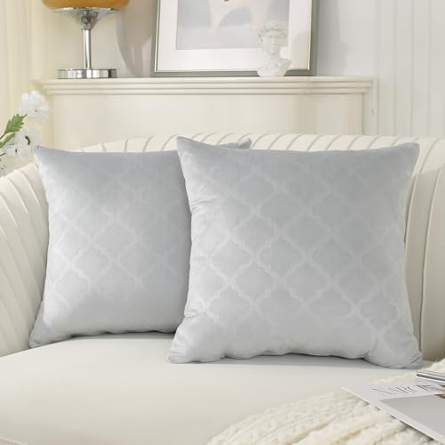 Ystyle Fundas de Cojines 40x40 Decoracion Hogar 2 Piezas Terciopelo Suave Funda para Cojin Sofa Cama Salon de Estar Hogar Dormitorio Sillas Jardin Habitación de los Niños, Gris Plata