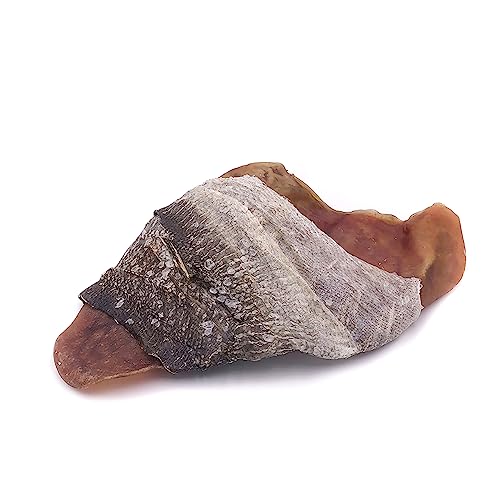 Icelandic+ Fish Ear – Pig Ear Hand-Wrapped in Cod Skin – Dog Treat, Two Chews in One, Long Lasting Dog Chew Icelandic+ Fish Ear – Pig Ear Hand-Wrapped in Cod Skin – Dog Treat, Two Chews in One, Long Lasting Dog Chew