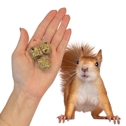 Exotic Nutrition Squirrel Beneficial Blocks - Healthy & Unique Supplemental Food with Nuts & Seeds, 10 oz