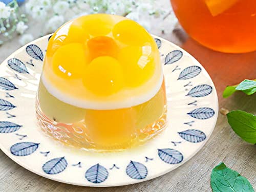 美濃焼　人気のうすかる ハーブミント　22cmプレート　５枚　新品未使用 美濃焼 人気のうすかる ハーブミント 22cmプレート 3枚 新品未