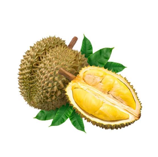 Fresh Durian Fruit Plant, Live Tropical Seedling, Garden Growing Variety .durian fruit live plant.
