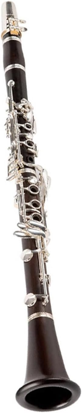 Clarinet Ebony Instrument Adult Beginner Professional Performance Clarinet Instrument