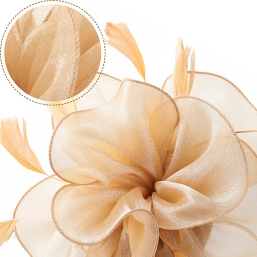 Image of DRESHOW Fascinators Hat Tea Party Headwear Ribbons Feathers on a Headband and a Clip for Women