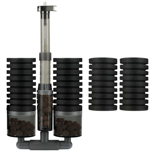 Qwakay ANAE X|W tB^[ tBbV^N - ANAE ÉtB^[ X|W4ƃtB^[Xg[2 5 10 20 40K^Np