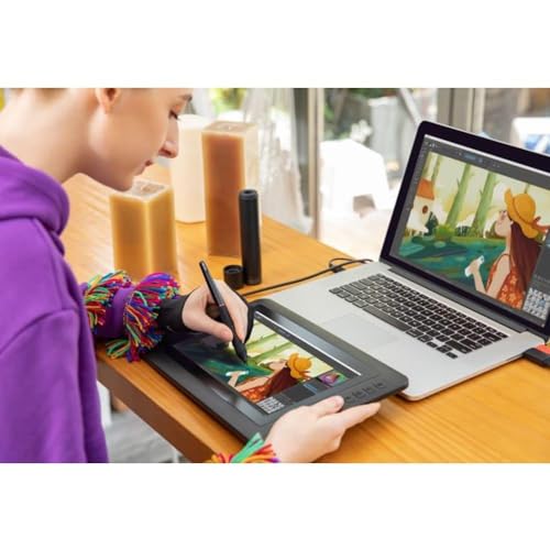 XPPen Artist 12 Grafikdisplay Grafikmonitor Drawing Pen Tablet Pen Display 1920 X 1080 HD IPS mit...