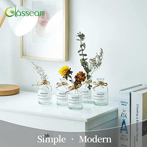 Clear Glass Flower Vase Small: Mini Bud Vases Vintage 16Pcs 125ML Modern Narrow Neck Apothecary Jar with Twine Rope and Labels for Table Decoration Wedding Centrepieces Living Room Pampas Grass