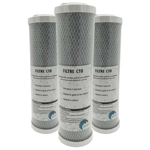 Desineo Lot de 3 Cartouches Charbon Actif + sédiment 5 microns pour Porte Filtre 10 Pouces