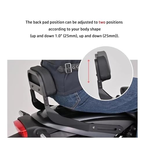 Coussin de dossier passager arrière ergonomique et support moto SE 2024 - 5