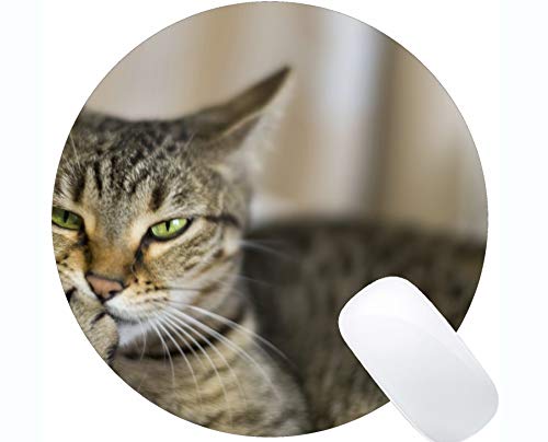 Preisvergleich Produktbild Runde Mausunterlage mit genähtem Rand, Makrokatze Home Office Computerzubehör Mousepads