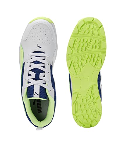 Image of Puma Men Cricket HighRun Cricket Shoe