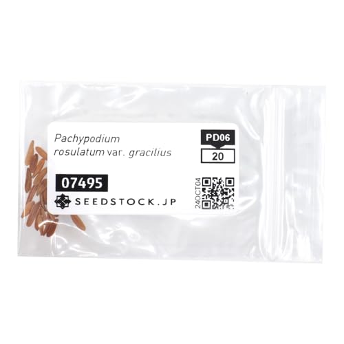 SEEDSTOCK pL|fBE OLXq 20