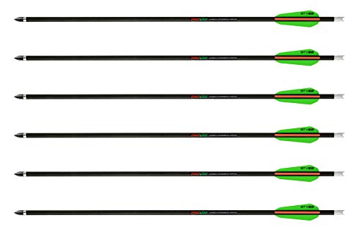 TenPoint Carbon Pro V22