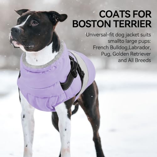 Image of Dog Jacket Large Dog Coat with Harness Built in