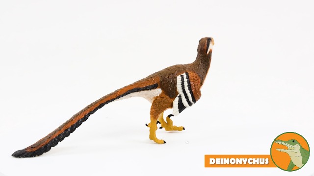 Safari- Deinonychus | New Dinosaurs and Prehistoric Creatures