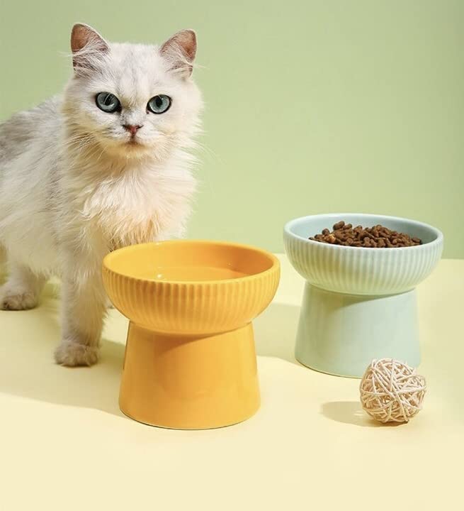 Image of PETANGEL Ceramic Cat Food Or Water Bowl, 2 Pcs Raised Cat Feeder Dish with Stand, Elevated Pet Food Bowl for Cats and Small Dogs, Stress Free Backflow Prevention, Anti Vomiting Reduce Neck Burden