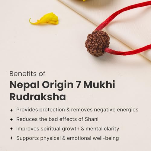 Image of Astrotalk Nepal Origin 7 Mukhi Rudraksha | Attract Wealth & Prosperity | Financial Stability, Peace & Spiritual Growth | Sacred Rudraksha Bead for Women & Men