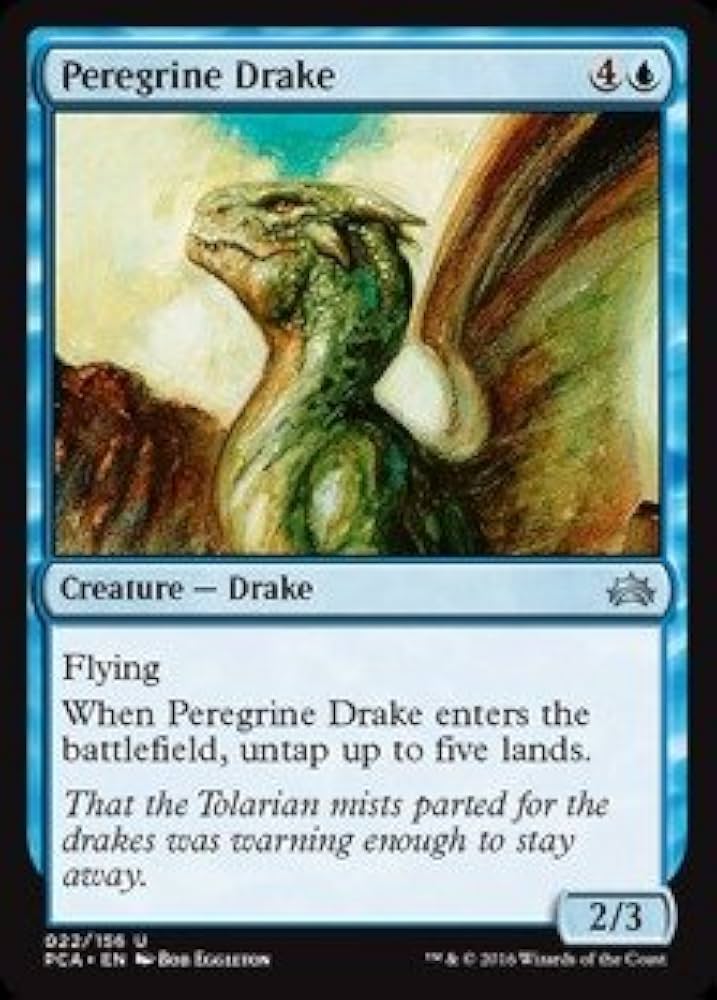 Amazon.co.jp: Magic : the Gathering – Peregrine Drake ( 022