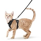 rabbitgoo Cat Harness and Leash for Walking, Escape Proof Soft Adjustable Vest Harnesses for Cats, Easy Control Breathable Reflective Strips Jacket, Black, S