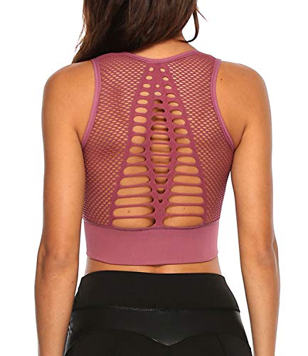 COLO Womens High Impact Crop Tops Padded Sport Bra Compression Seamless Activewear