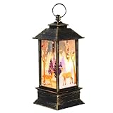 Xtahdge Lanterna di Natale all'aperto a batteria illuminata mini...