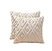 South Area Fundas Cojines Juego 2 Piezas Sofá 45 x 45 Decorativos Tacto Suave Peluche para Silla Sillón Salón (Beige)