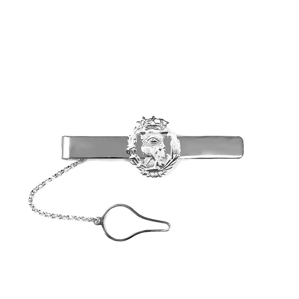 Pisacorbatas con Insignia Profesional de Ciencias Exactas escudo en Plata de Ley 925m con 54mm.