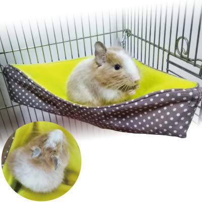 Amazon | デグー コーナーハンモックベッド秋冬用（シマリス・モモンガ