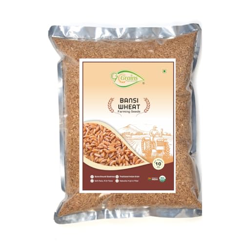 Image of Organic Bansi Wheat Grains Seeds (10Kgs) | Bansi Bhaliya Gehu Ka Seeds | For Farming, Sowing & Agriculture Use | Produce of India | 100% Natural & Non-GMO | By G7 Grains
