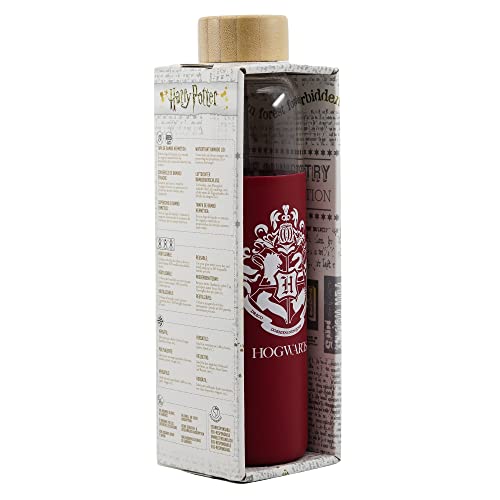 Botella de vidrio Harry Potter de 585 ml el regalo ideal para fans 6