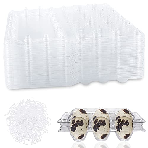 Boîtes à Œufs de Caille Oeuf de Caille Cartons Plateaux à Œufs de Caille en PET pour Oeufs Empilable Boîte De Transporteur D'oufs Clair Cas 50pcs +100pcs Élastique
