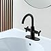 Derengge Matte Black Bathroom Faucet,Two-Handle Bathroom Sink Faucet Water Supply Line,1 Hole or 3 Hole Lavatory Vantity Faucet,F-0081-MT
