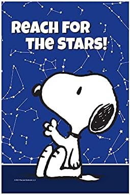 Flagology Com Peanuts Reach For The Snoopy Sacramento Mall H Stars