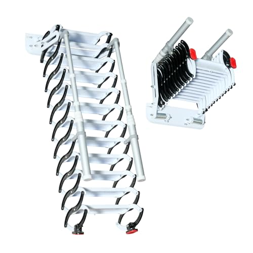 10 Steps Wider Wall Ladder