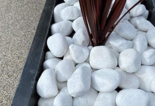 Piedra Canto Rodado Saco Blanco Especial (99%) (20 Kg, Tamaño: 20-40mm) Cover