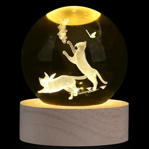 XIANNVXI 3D Cat Crystal Ball Paperweight Cover