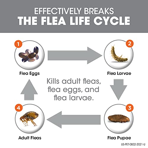 Frontline Plus For Dogs And Puppies (Dogs 8 Weeks Or Older 5 To 22 Lbs.) Flea And Tick Treatment, 6 Doses (Orange Box) #TOP3