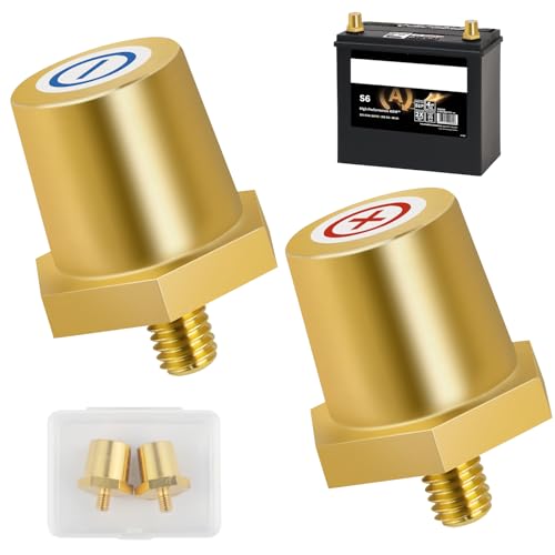 Messing Batteriepol Adapter Set, Gewinde-Anschlüsse, robust und korrosionsbeständig, Schnellmontage Batterieklemmen, Batteriepol-Adapter für Lithium-Autobatterien(1 Paar) (AG:M6)