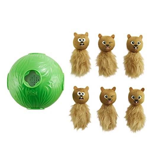 Outward Hound Nina Ottosson Dog Snuffle N' Treat Ball Interaktive Leckerbissen Ball Hund Puzzle Hund Bereicherung Hundespielzeug, Level 2 Intermediate, grün, groß