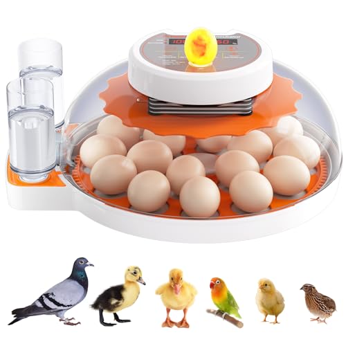 PAWZOO Incubators for Hatching Eggs - 18 Egg Capacity，Automatic Egg Turner，360° Viewing，Temperature & Humidity Control，Dual Size Egg Trays for Chicken, Duck, Goose, Turkey, Quail, and Parrot Eggs