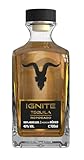 IGNITE
