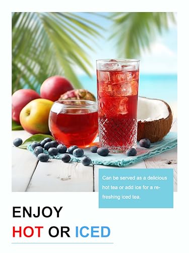 Image of TeeLux Mango Pineapple Fruit Tea, Hibiscus Blend, Sweet & Tart Taste, 3.5oz