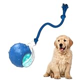 Tiny Fetch Dog Toy - Interactive Dog Toys, 360Β°Smart Automatic Rolling Electric Dogs Ball Toy with Birdsong, Automatic Obstacle Avoidance, Rechargeable, Boredom Relief for Dogs & Cats (Blue*1 PC)