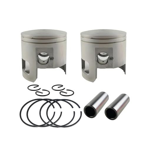 66T-11631 �s�X�g�� STD �Z�b�g �D�O�@ 2T 40HP E40MH 40X HDX 66T-11631-01-93(Piston and Ring 2Set)