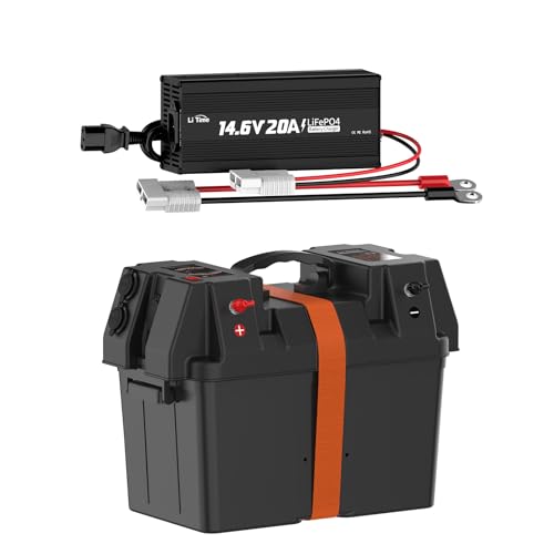 Image of LiTime 12V 20A Lithium Battery Charger 14.6V LiFePO4 Battery Charger AC-DC Smart Charger with Portable Battery Box Fits Group 24 /27 Size Batteries