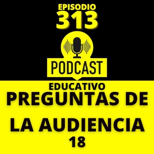 313 - Preguntas de la audiencia (18)