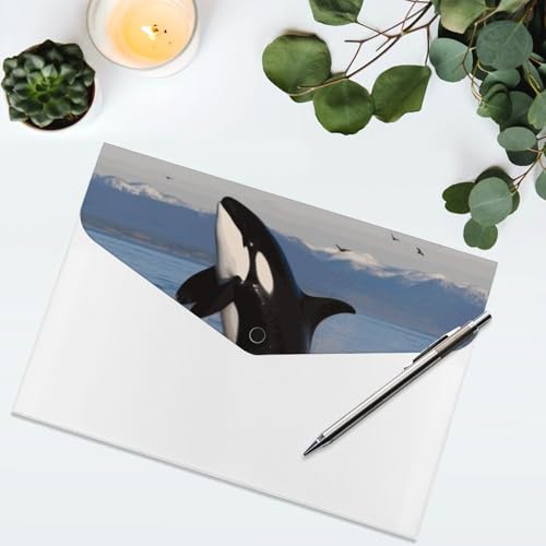 Porte-documents 6 compartiments Killer Whale trieur robuste pour organiser vos CV
