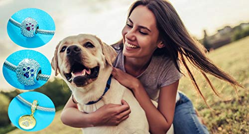 GEMDAZZ Sparkling Puppy Paw Print Charms in 925 Sterling Silver, Pave Dog Pawprint CZ Round Beads and Always in My Heart Charms, Gift for Animal Lover, fit European Women Bracelet/Necklace3