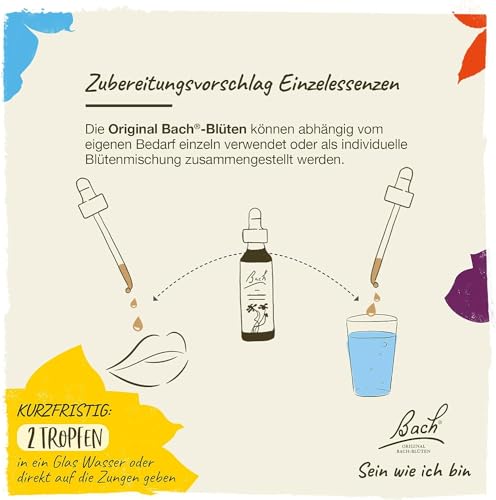 Original Bachblüten Tropfen Nr. 13 Gorse: Neue Kraft und positive Gedanken mit der Bach-Blüte Stechginster, 20ml